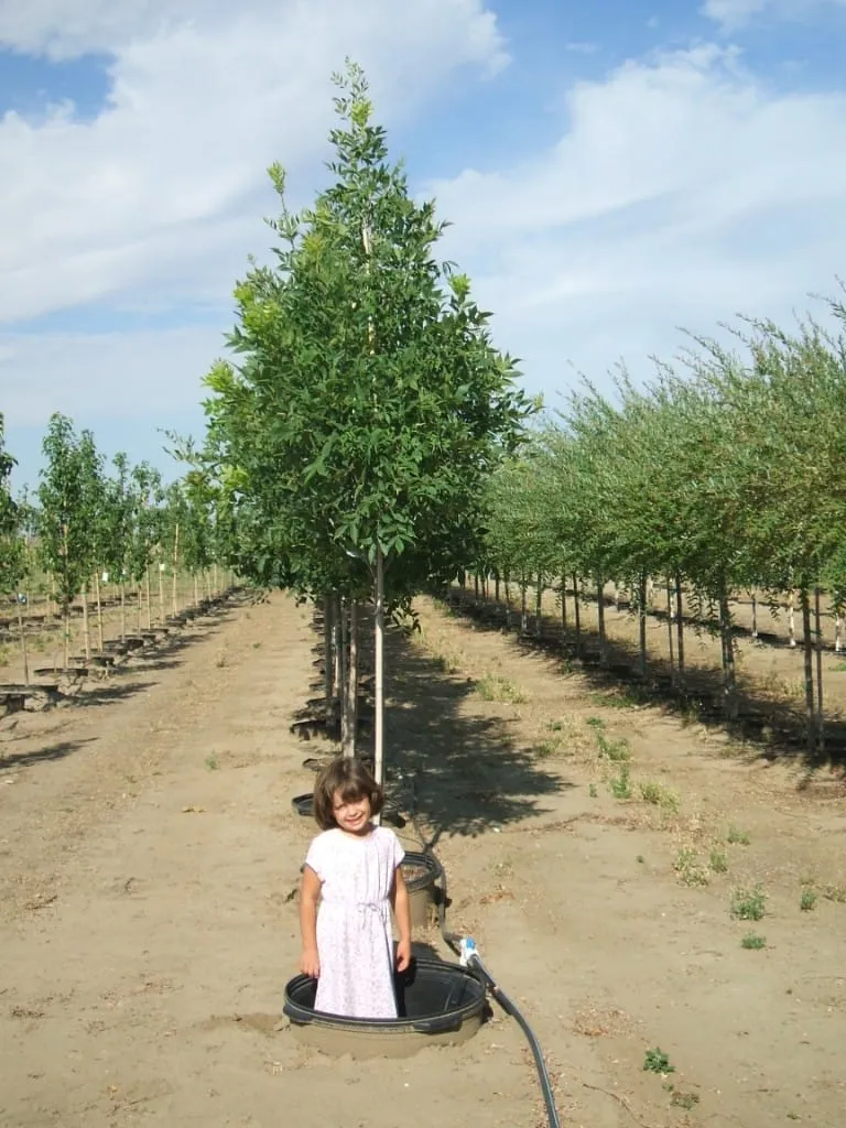 Family members among the trees at Garden Gate Nursery