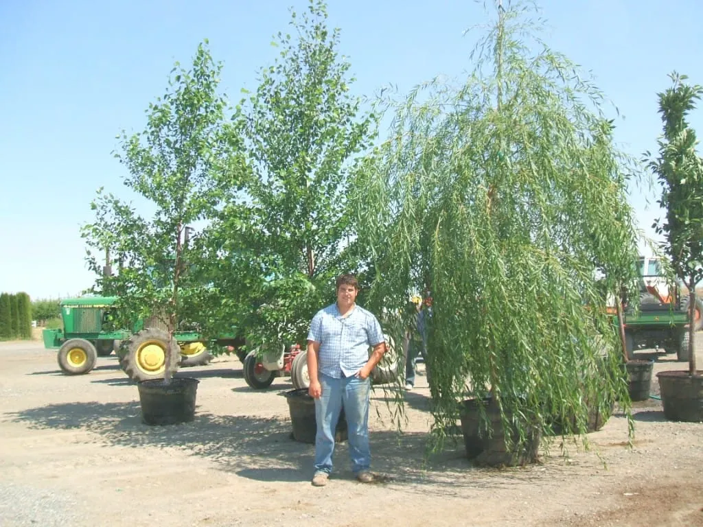 John Deere tractor pulling a yellow planter with workers installing pot-in-pot and irrigation