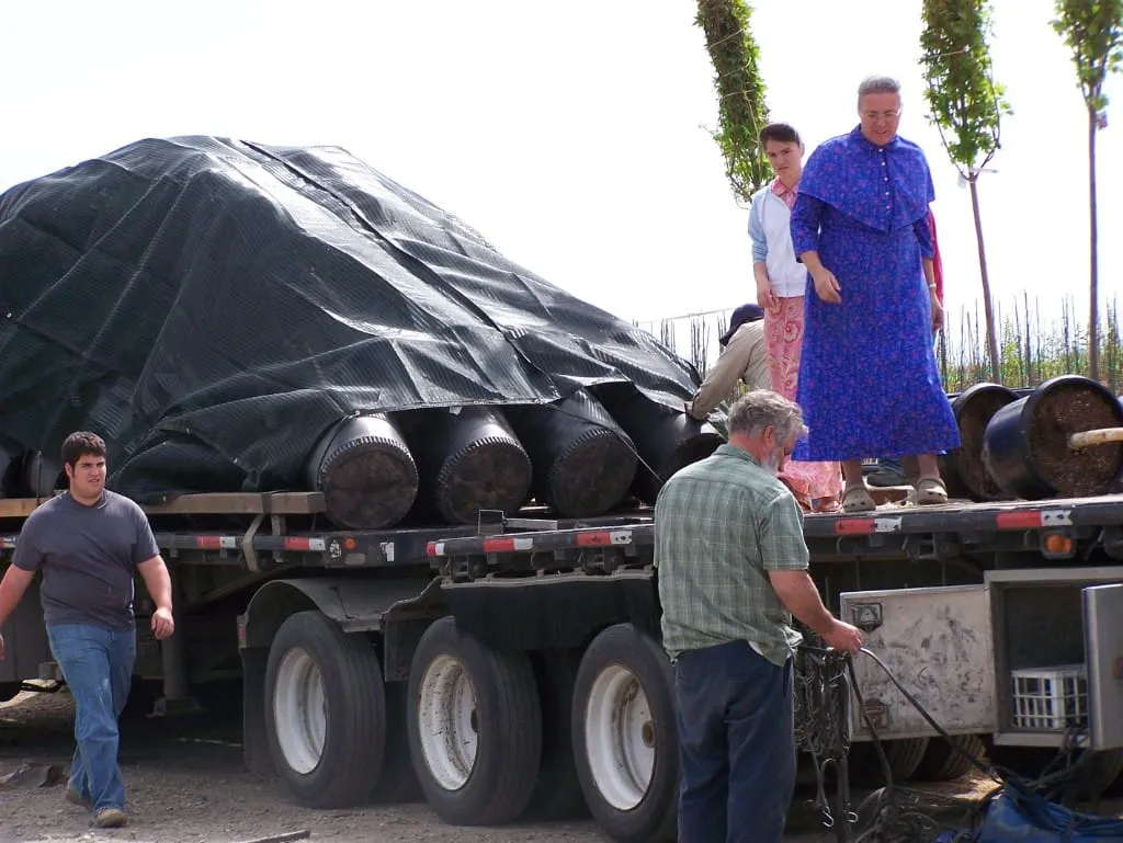 Nursery trees loaded and ready for delivery
