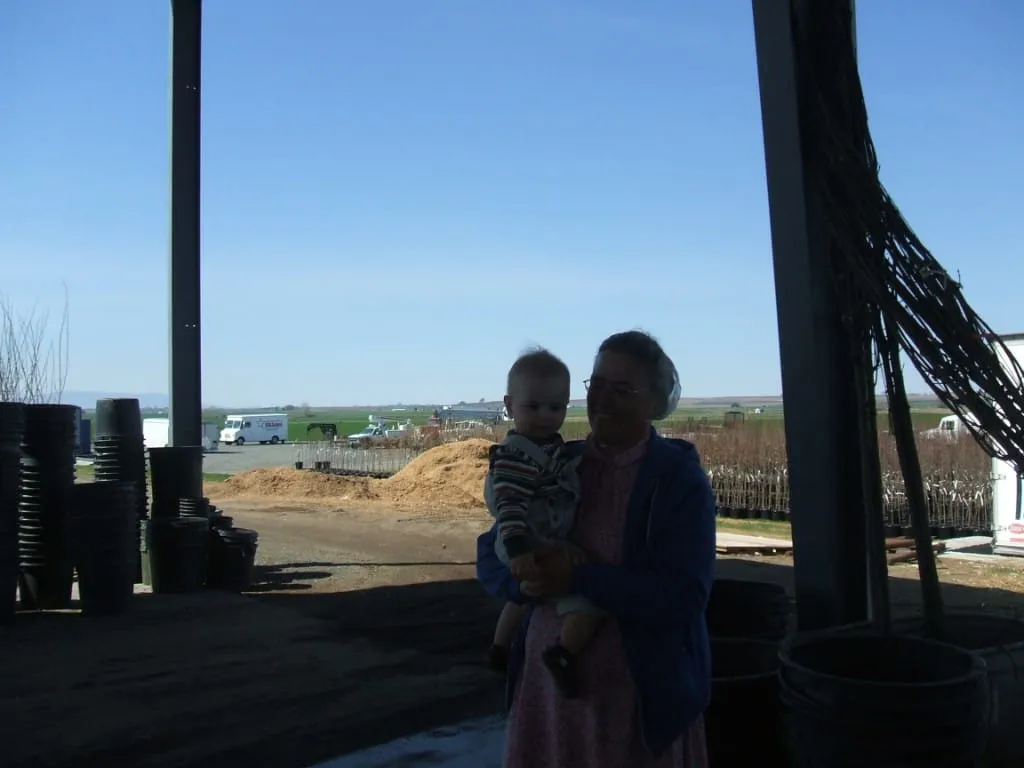 Nursery operations and family in 2007