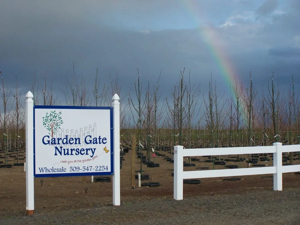 Nursery work at Garden Gate in 2008