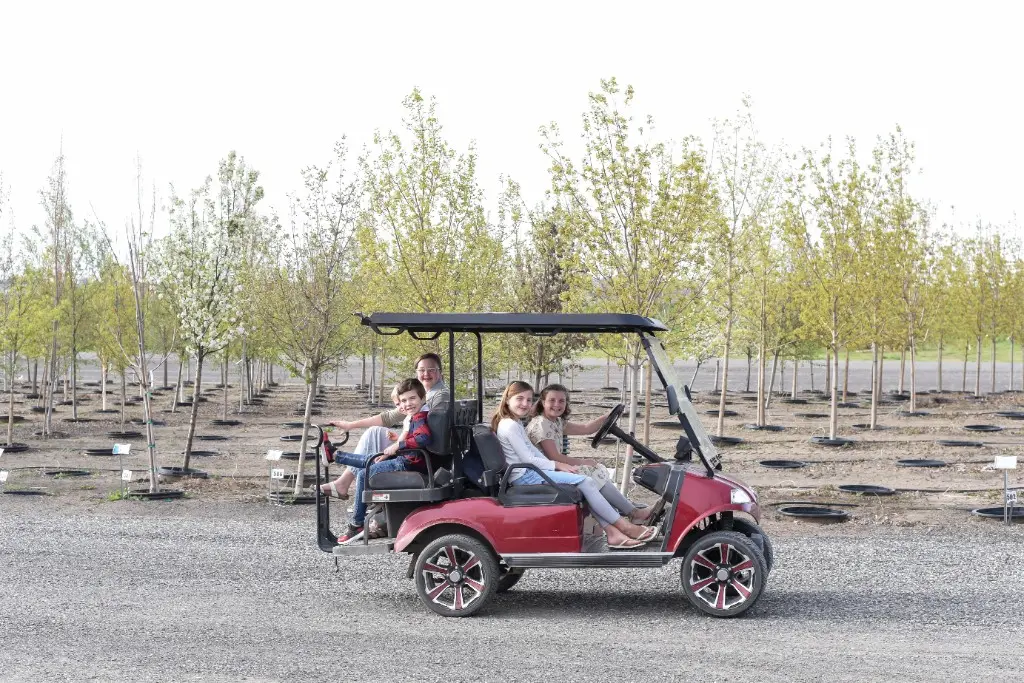 Four children smiling from a red golf cart among nursery trees
